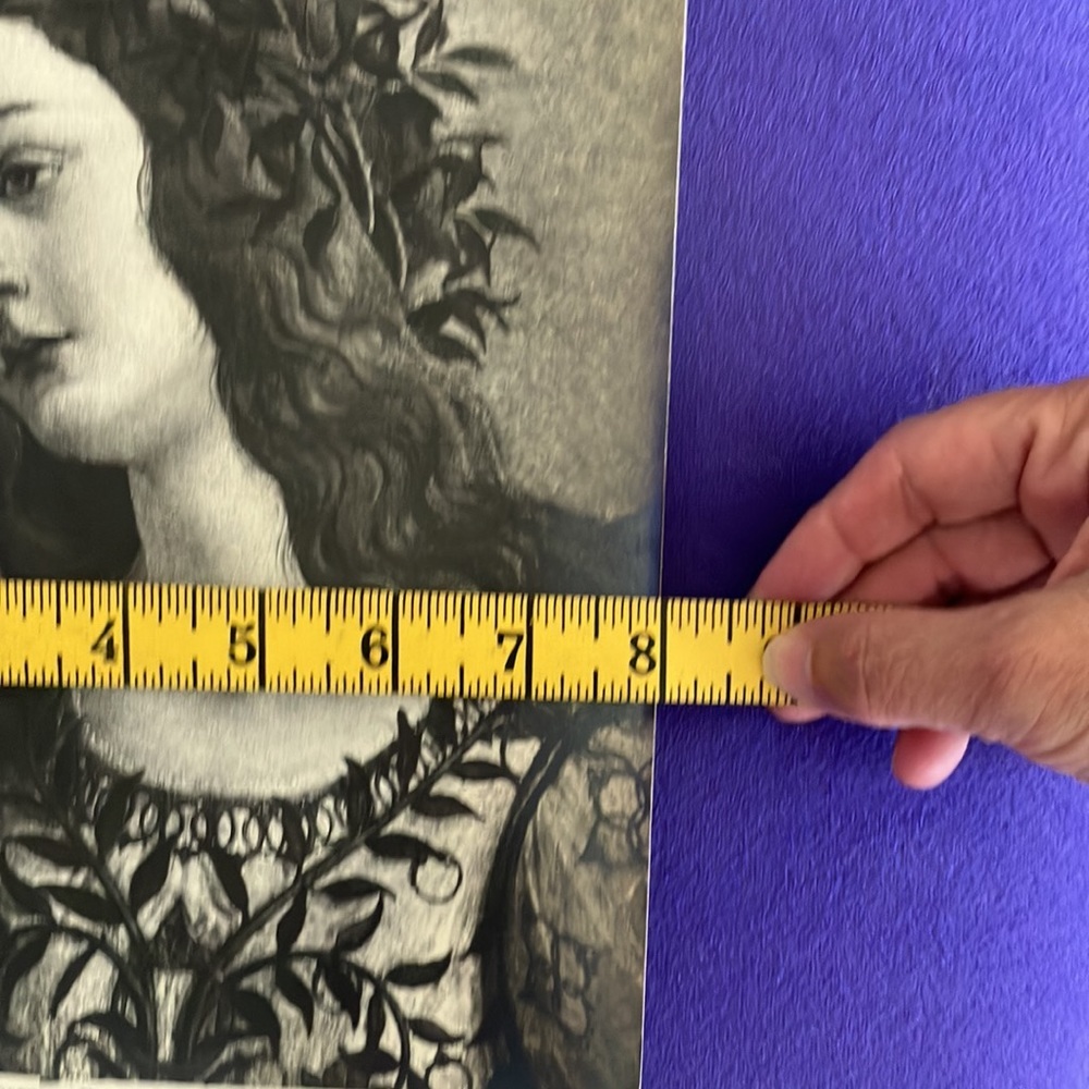 Vintage black white print Minerva and the Centaur by Botticelli Roma - Picture 6 of 8